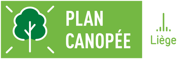 Plan Canopée de la Ville de Liège