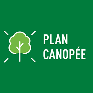 La Ville de Liège active son Plan Canopée